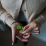 max-saeling-GFDNXpOsQjU-unsplash